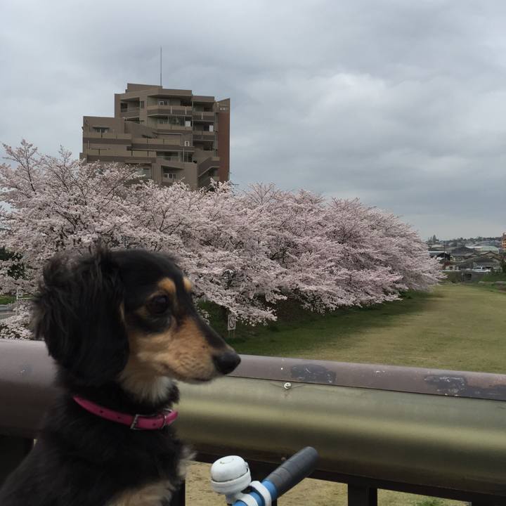 464db9f9 2ad7 40f3 8ca2 618f5ef83a64