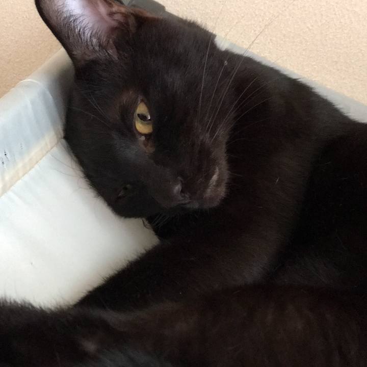 464f046d 98d8 4182 8598 ff23ed1d4b67