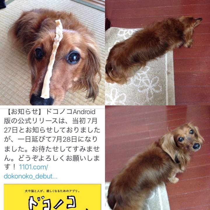 464f4031 d657 4b33 a4e2 10bc040945be