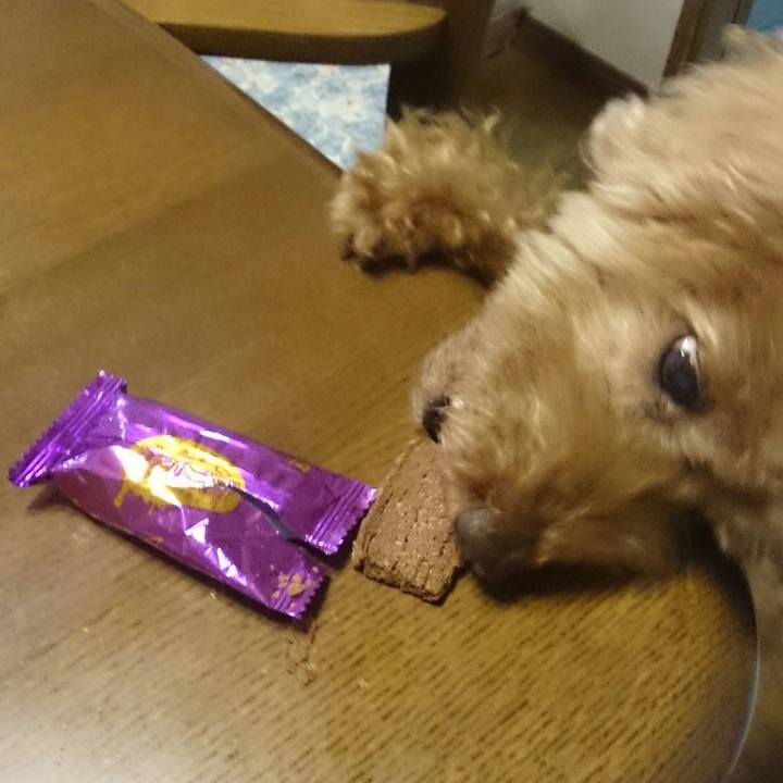 464f4ae1 1359 4c8d b4e5 046f84d254b9