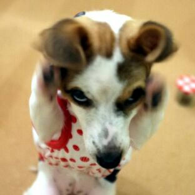 464f6711 5119 49f4 9404 38c8455590b9