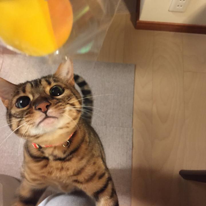 46500bfa 1ea2 4a1d 8fb7 aecd25eb670e