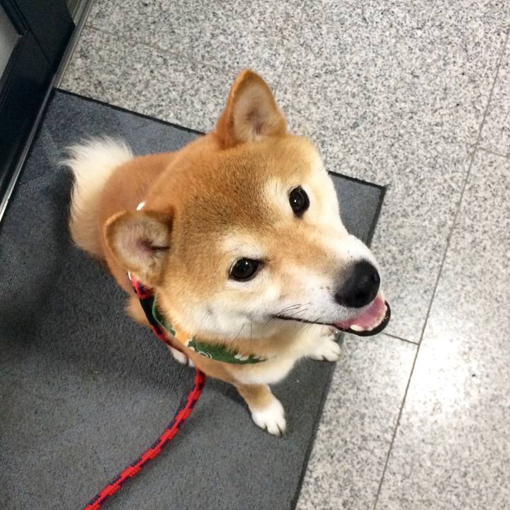 4650c10b 8cb5 4adf b82c 0c4e1ca8c436