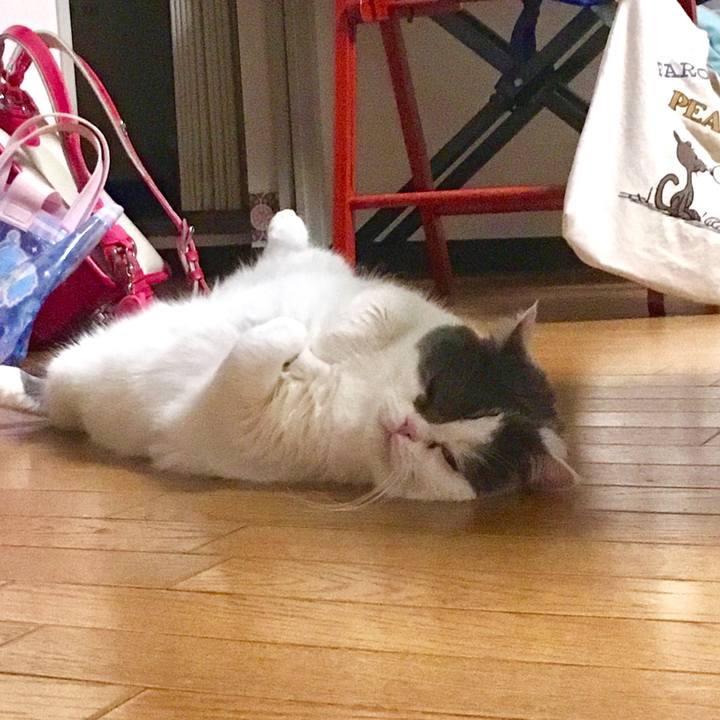 4650ceb9 4dbe 4069 af14 11edfbc3295a