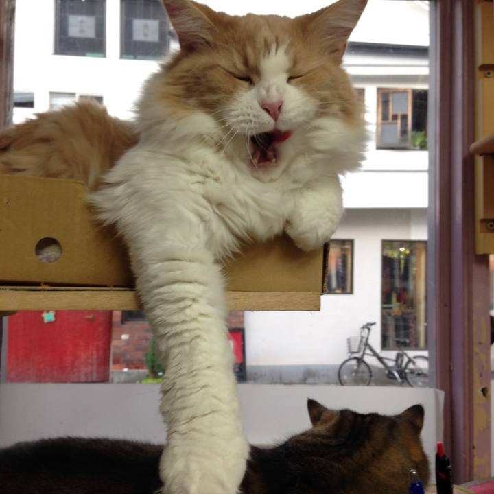 4651518b 519e 4b02 8784 23f3575602ba