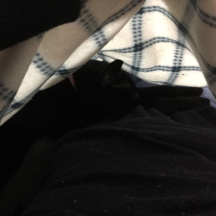 46516a03 c515 4b10 a9fa 3b158bc068dd