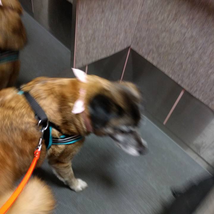 4651f032 3101 4307 9e89 91dd525e9521