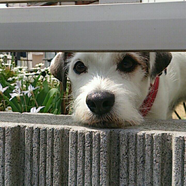 465327fa 40cf 45ff 80fe e8fa6ca194f7