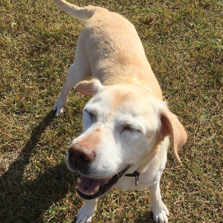 4653756e dced 4955 8412 e7c975fc529d