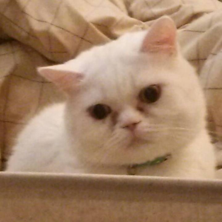 4653ac25 2a3c 43eb 8853 120cd8009fae