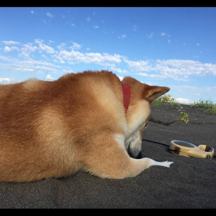 465478dc 743a 49db b675 d4ca7df87fbe