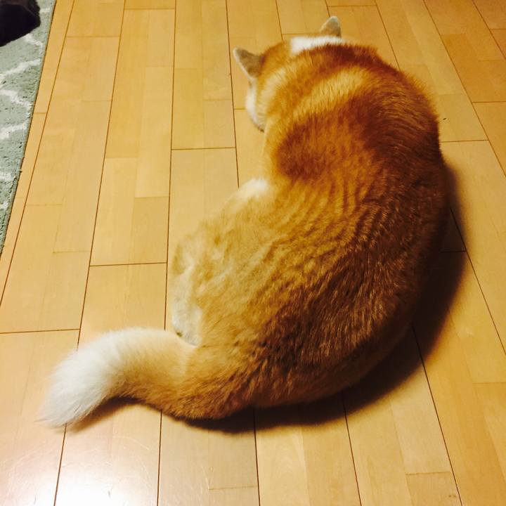 4654798b c28e 47ac 8d35 5a0daa472655