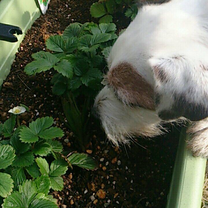 4654f92c 7e5a 4022 baae e9f0be2fe2d1