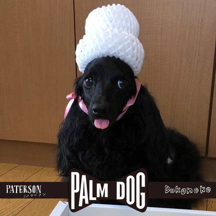 46555e93 7631 4f25 a1d3 819251130c80