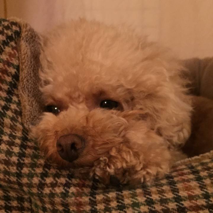 46564323 3ec2 4e89 a543 e9f1e6e30bc9