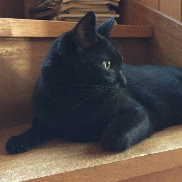 46567d25 d87a 486b bf99 006e89a7216b