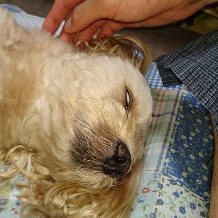 4657924f 9622 4f9c 834e 1354744e2b9d