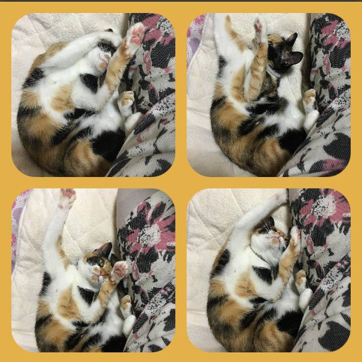 46579ea2 de52 4fea 94f5 59b7a15e07c5