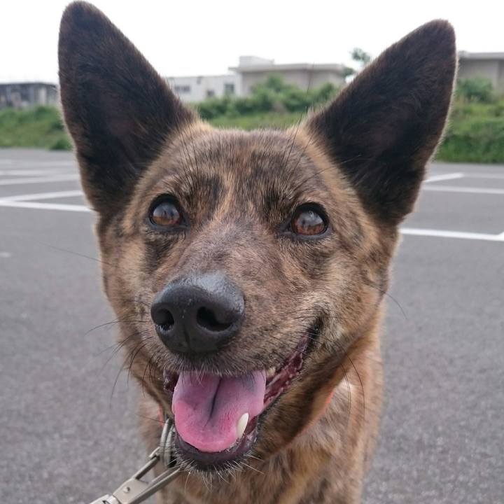 4657ebf6 55ad 4dcb ba94 8d3a543f3096