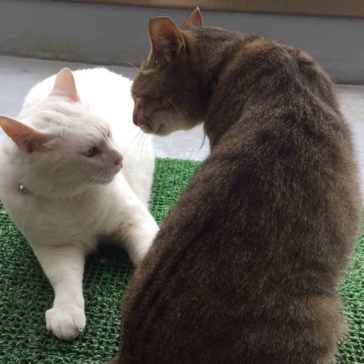 465876d3 0fa3 4346 a2d7 f4e31942c007