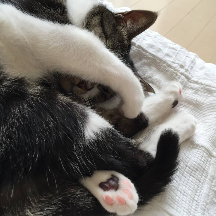 4658ed5d 087f 49e8 9902 f1b256f31482