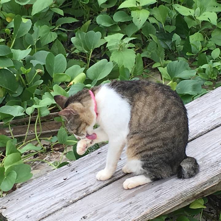 4659c5a1 c5e1 4c6a adb8 d6b40425ee01