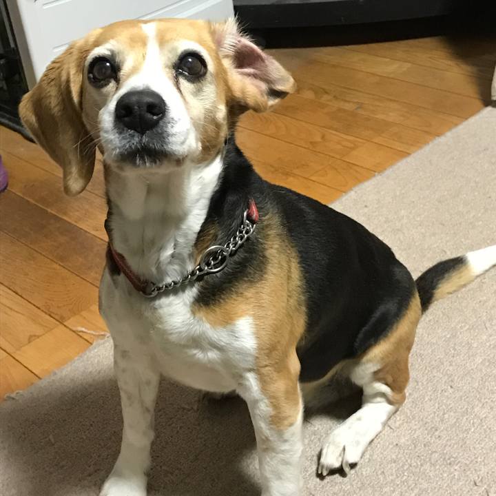 465a807f 9ea6 4fc8 aeaa bf5e84f85551