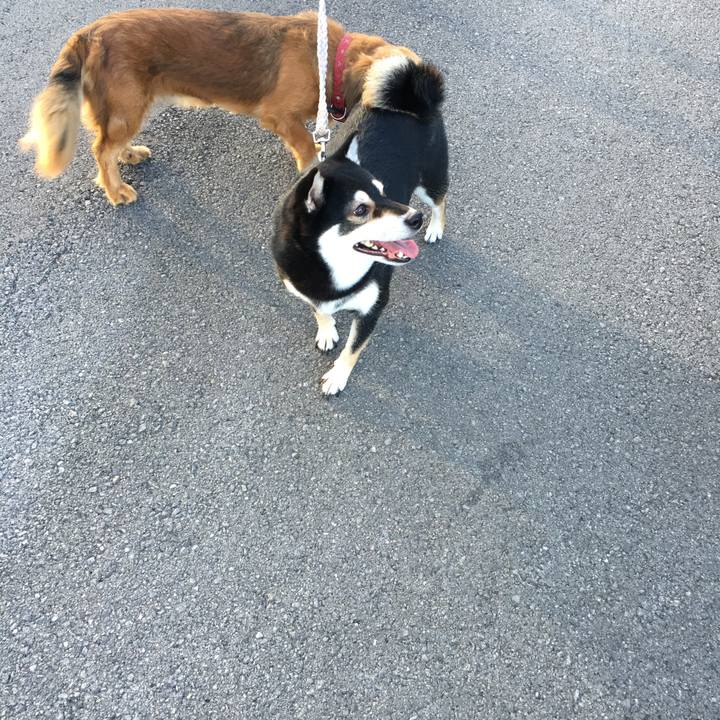 465ac112 569b 4171 bff1 cab35d94f658