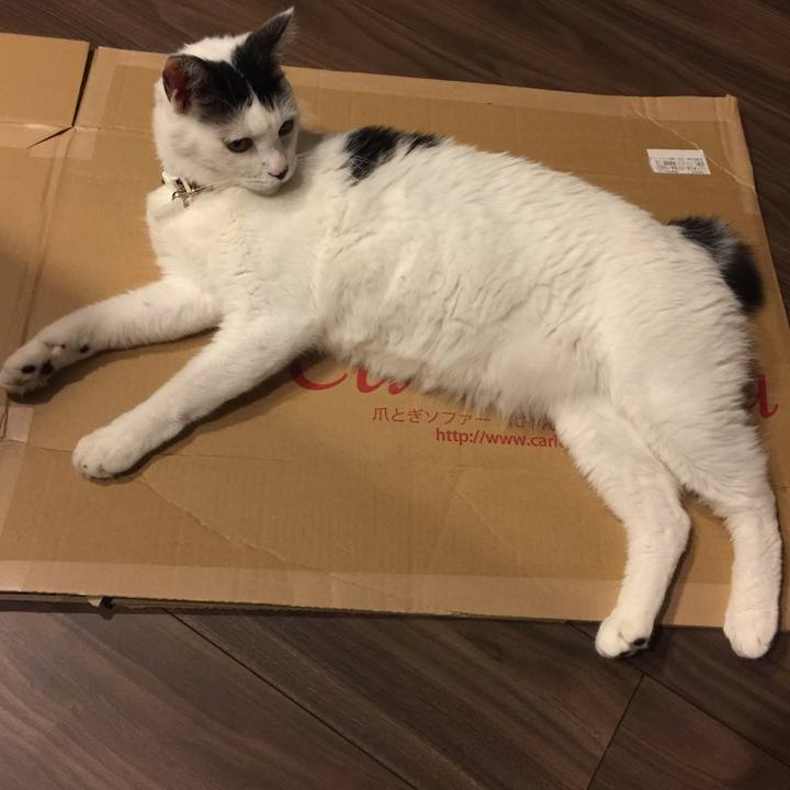 465af392 b9cb 4786 8684 2360f62373af