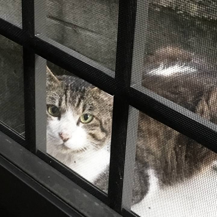 465c34a1 f280 48a4 a2f2 5ffb0a1c9602