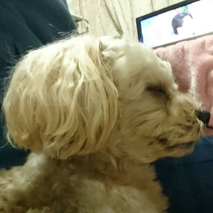 465c581a e612 4ea1 877b 6644490d6f91