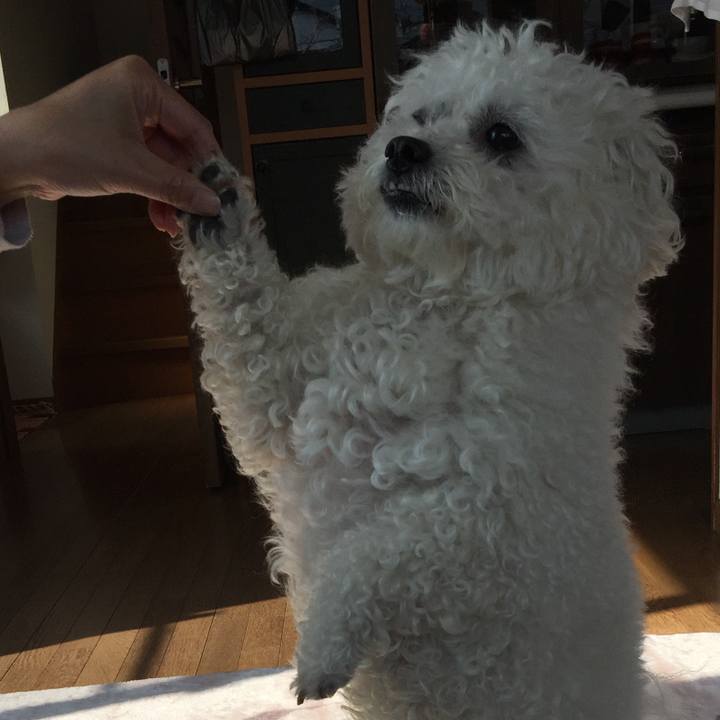 465d05b1 bac0 45b1 ba4c d035c1eb3df6