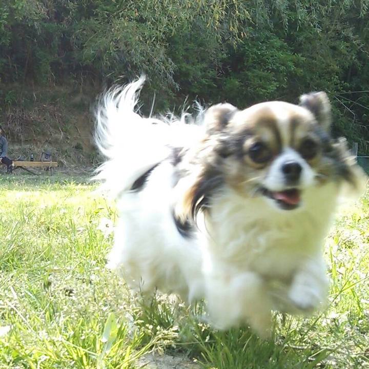 465d260b 71f5 4d38 81b7 446a266d4005