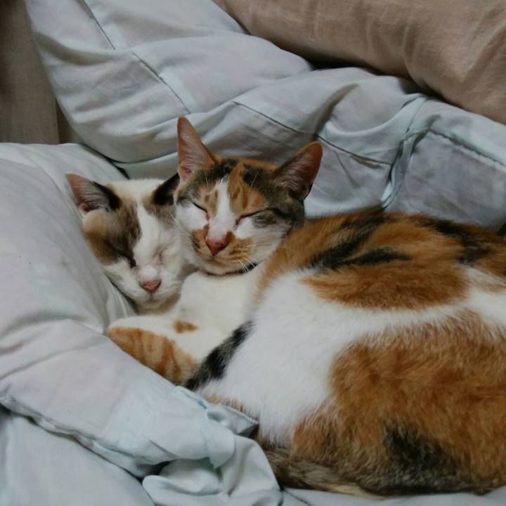 465ddb95 13e2 44f6 929c 4ceac4fafd24