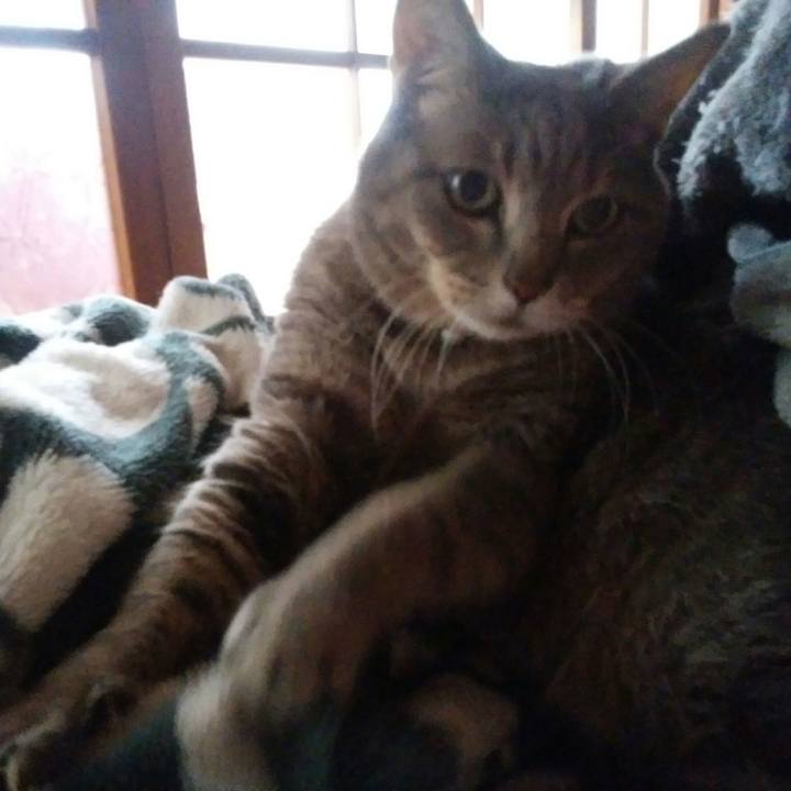 465ea204 dfc7 445d 9f16 d69b1e5b88af