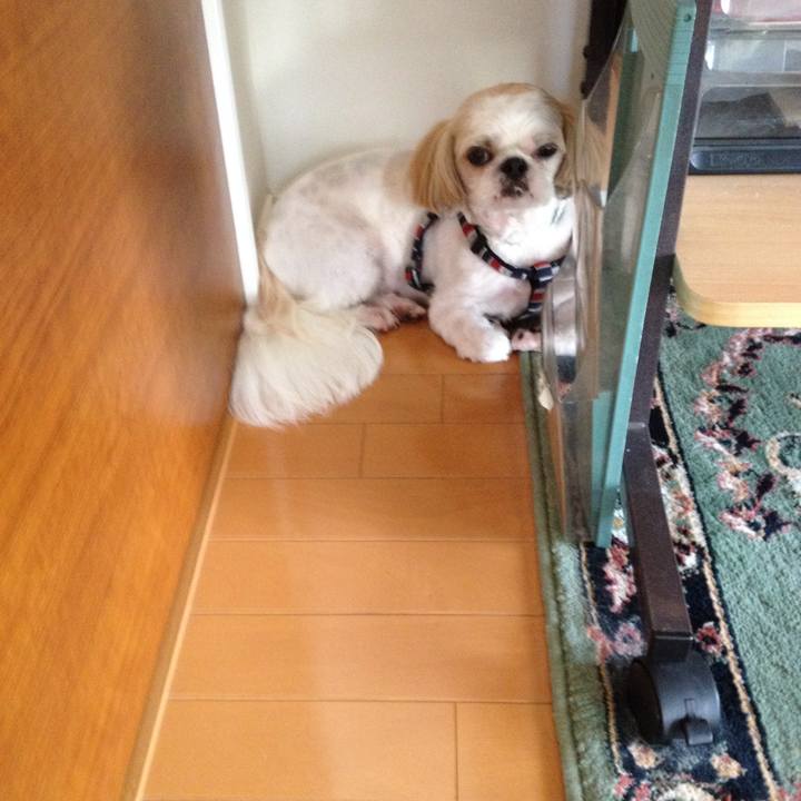 465effd3 7328 4dad bc9e cb8005262107