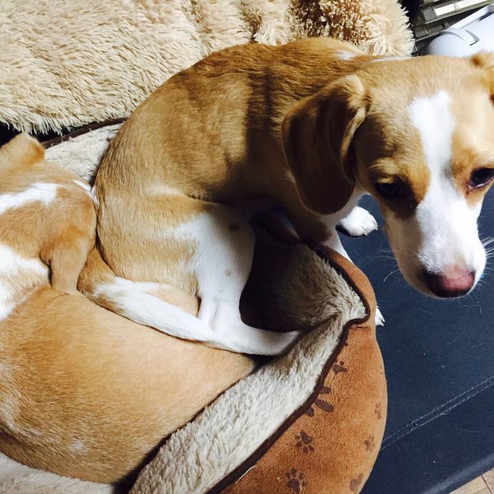 465f6987 6deb 437c 92b1 63886f4a5e4d