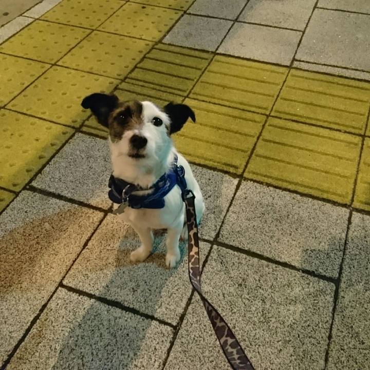 465fd557 6e57 4d72 8d81 3fd5de7bbd91