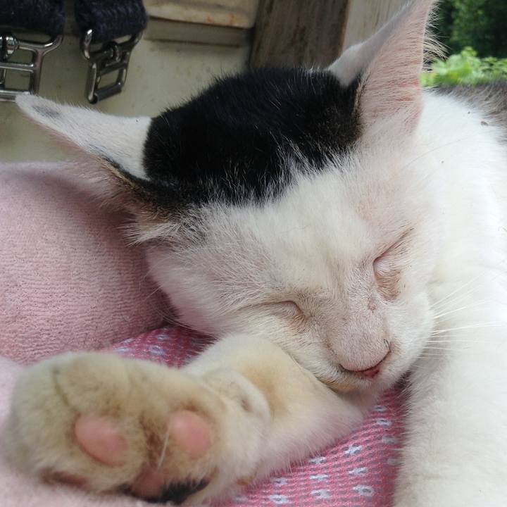 465fe5dd 1d81 45cc a2fb b346b20aeb4d