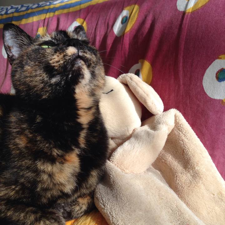 466032a4 2300 4a2b b307 0c4364a51f89