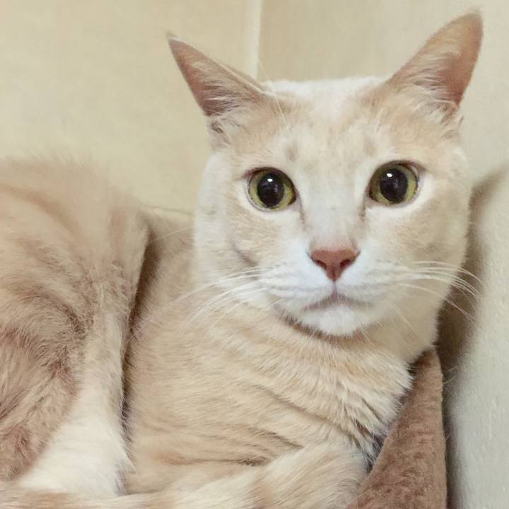 466064b2 52b0 41f0 b09e c31ab2ab1c00