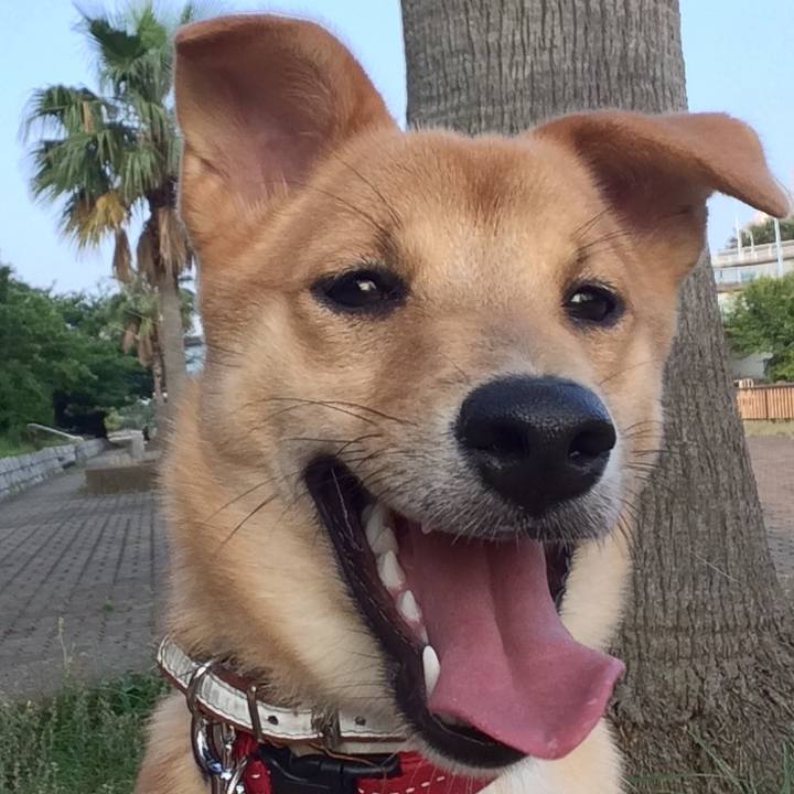 46615723 2668 4f52 9dc9 39cfa39c41dd