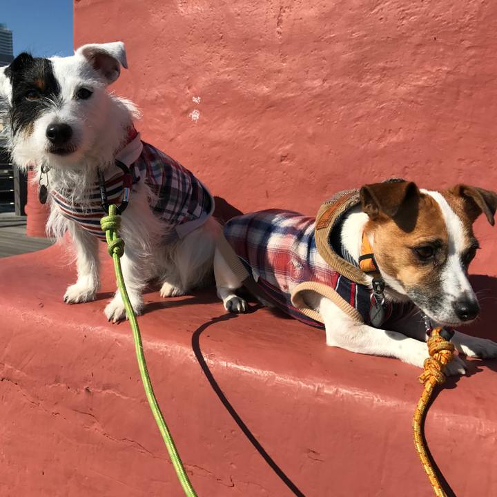 46618cc6 0336 4cc2 a16f 93f803430380