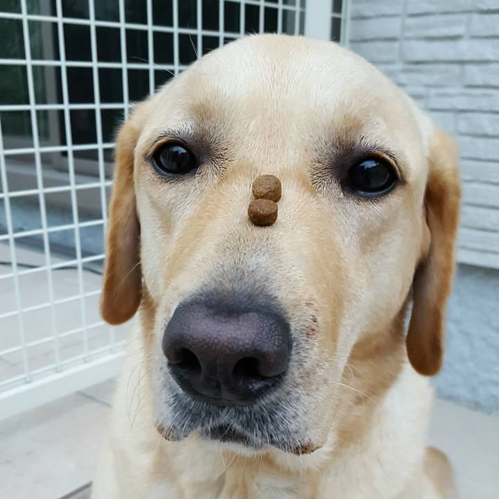 4661b0ad 2da6 4132 a20e 2920c5fe5135