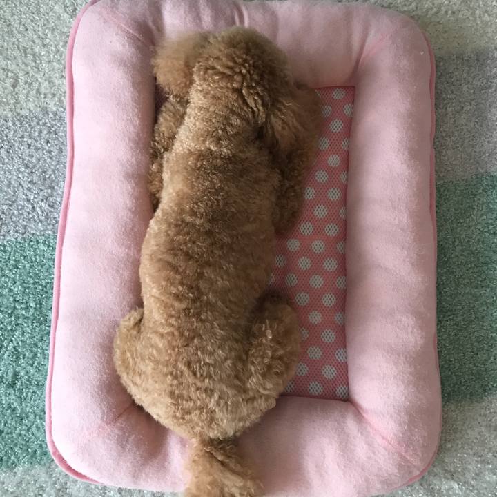 4661e38d 1ec8 4a0a a754 852da0600406