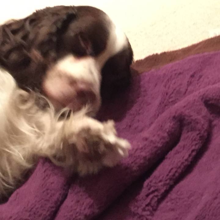 4662ac25 5883 49fc b67b 4976e3127e50