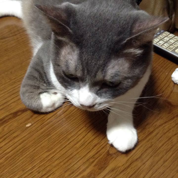 46655845 0a1a 4c45 aa0c 46c07d2e0d39