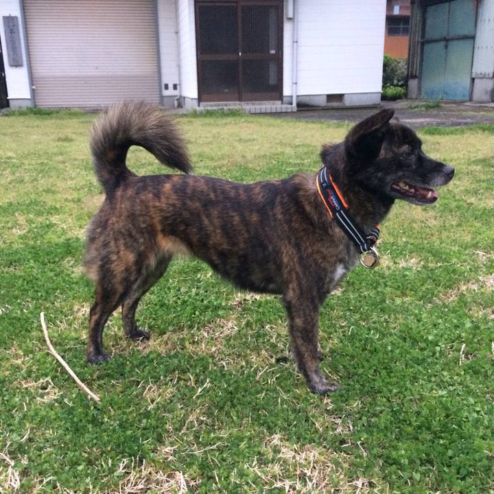 466634f4 1d2a 48bb ad82 583decfca395