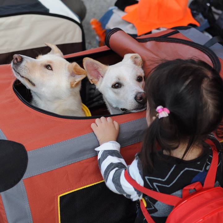 46669e2e 9604 4214 97f1 4069551babc4