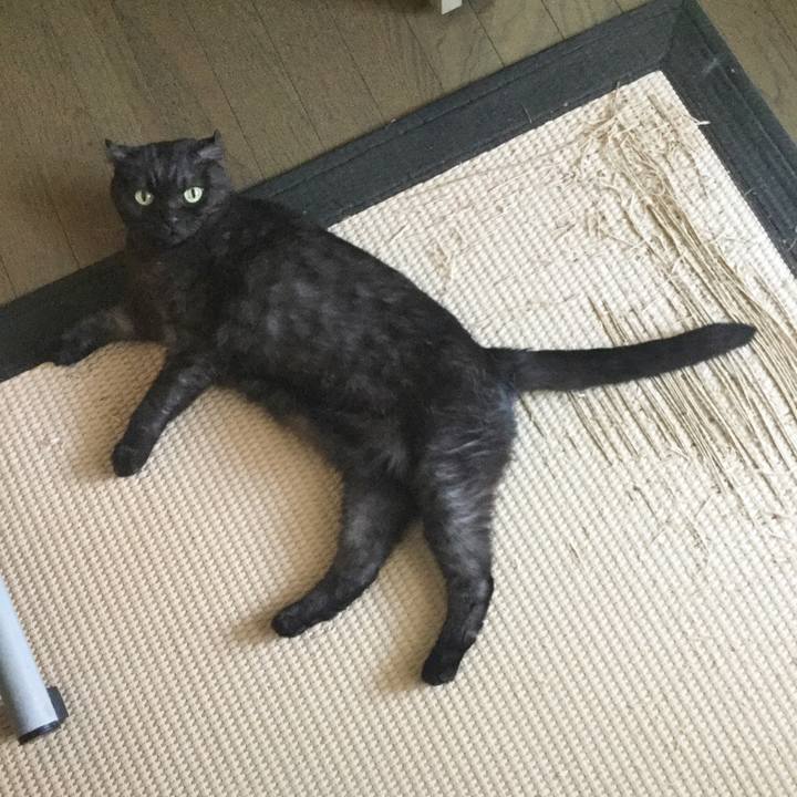 4666c167 d08b 48aa 86c3 b60fa49c606c